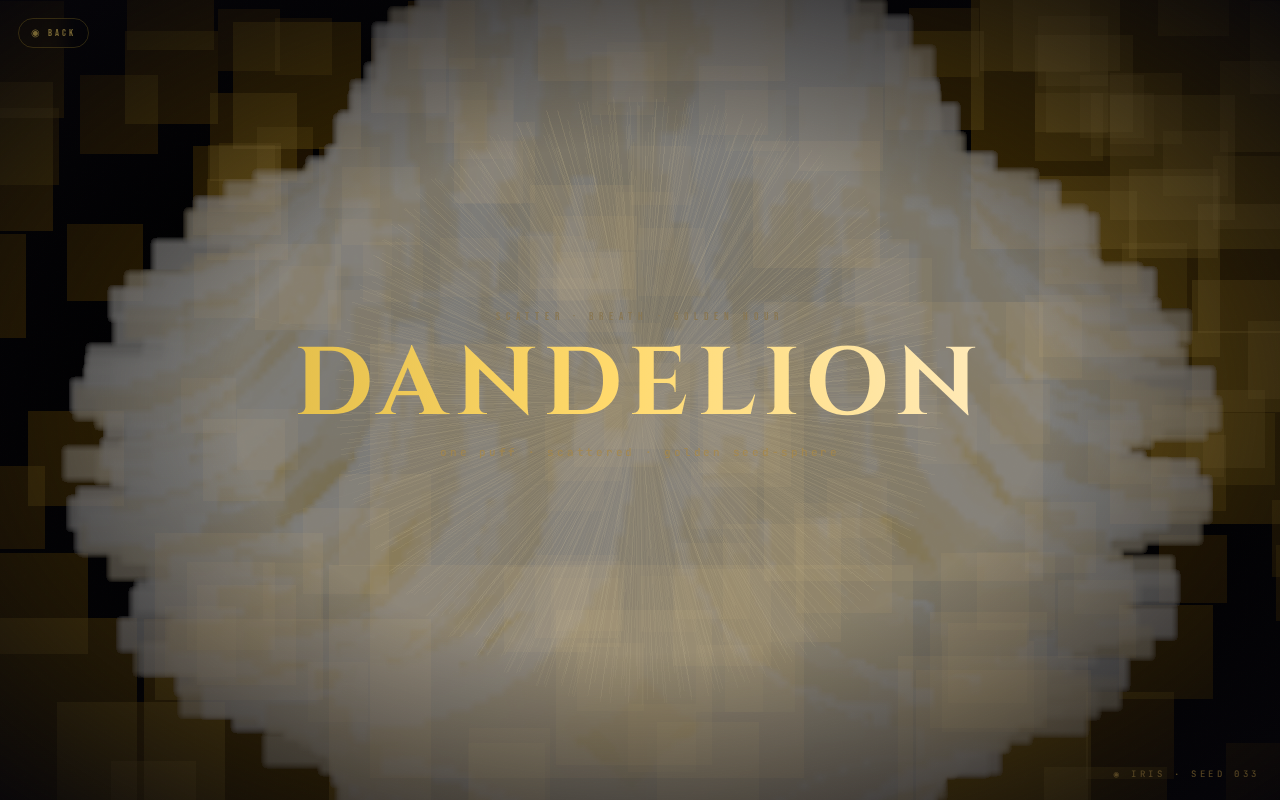 Dandelion