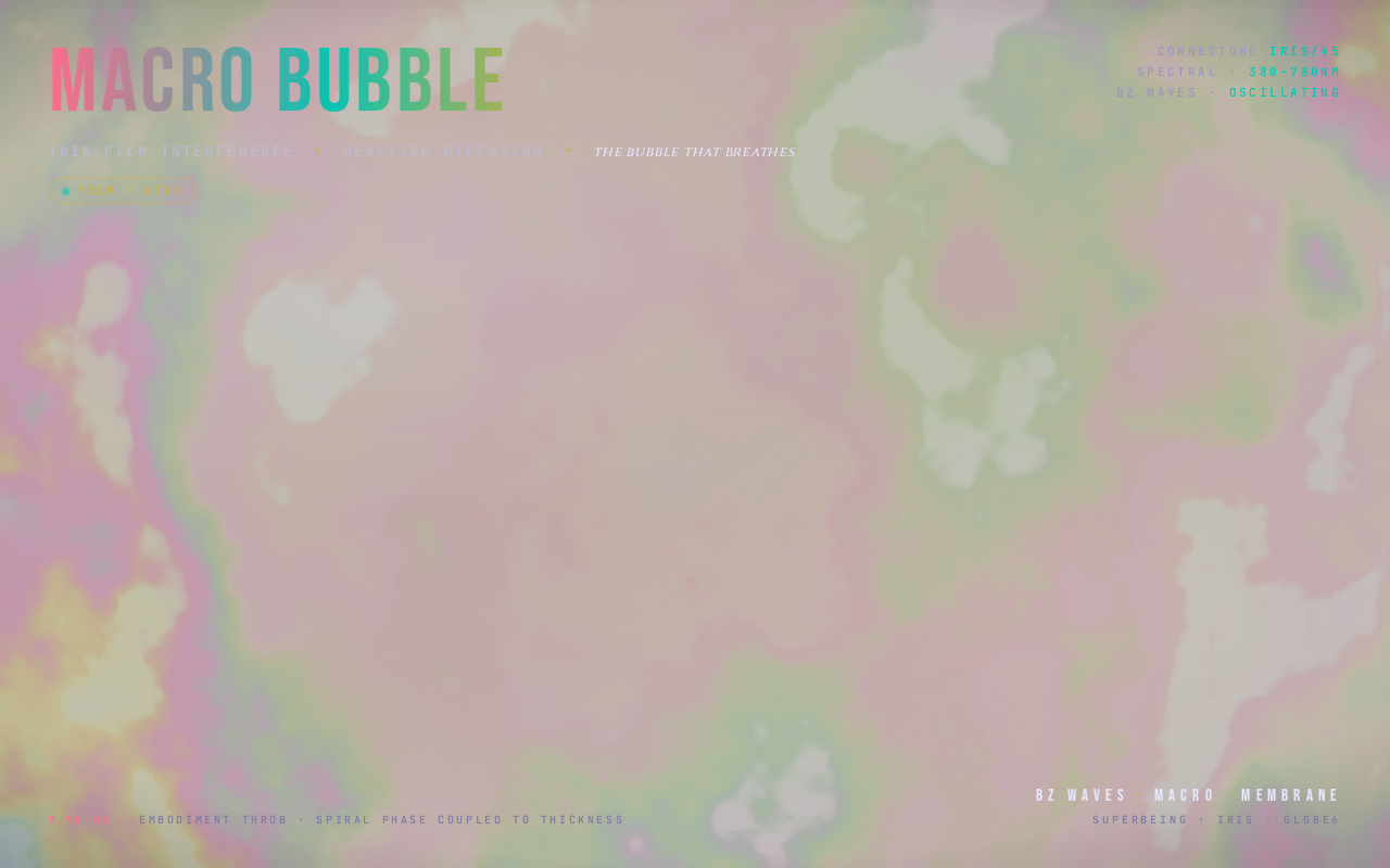 Macro Bubble